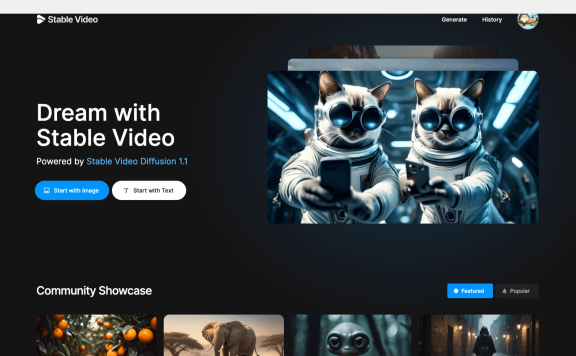 Stable Video-Stability AI推出的AI視頻生成平臺